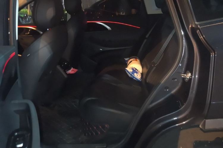 Used EXEED Lingyun 2024 300T Two-Wheel Drive Starlight Edition Left Rear Seat