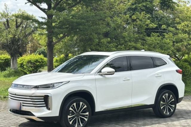 Used EXEED Lingyun 2024 300T Two-Wheel Drive Starlight Edition