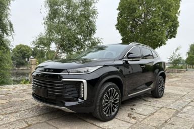 Used EXEED Lingyun 2025 300T Two-Wheel Drive Starry Edition