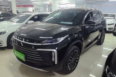 Used EXEED Lingyun 2025 300T Two-Wheel Drive Starry Edition
