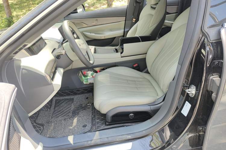 Used EXEED Star Era ES 2024 Max Long-Range Version Left Front Seat