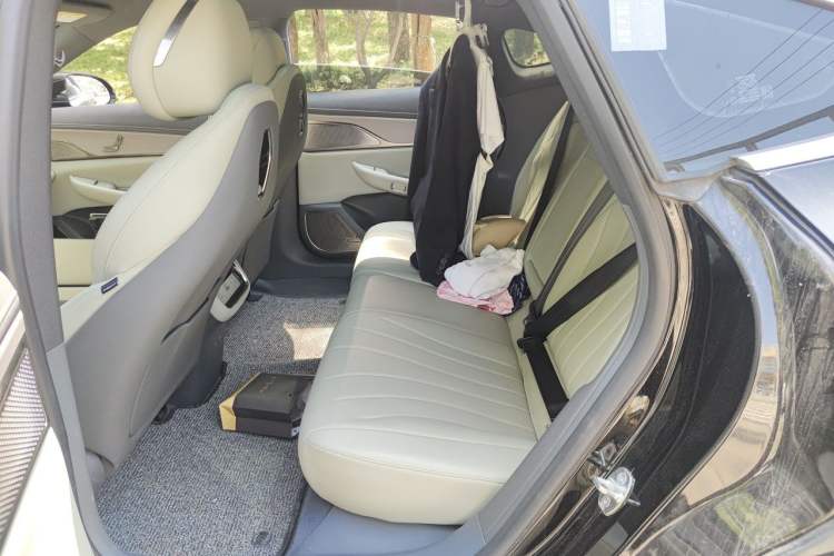 Used EXEED Star Era ES 2024 Max Long-Range Version Left Rear Seat
