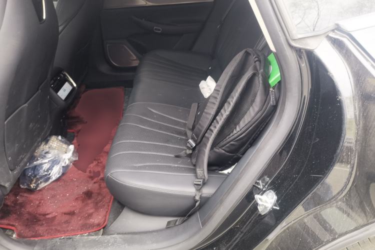 Used EXEED Star Era ES 2024 Max Long-Range Version Left Rear Seat