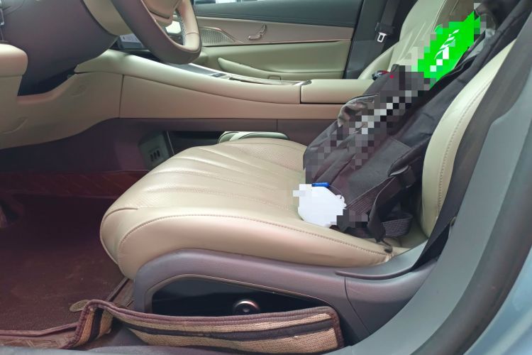 Used EXEED Star Era ES 2024 Max Long-Range Version Left Front Seat