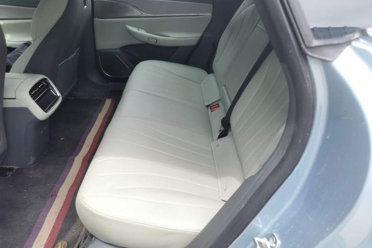 Used EXEED Star Era ES 2024 Max Long-Range Version Left Rear Seat