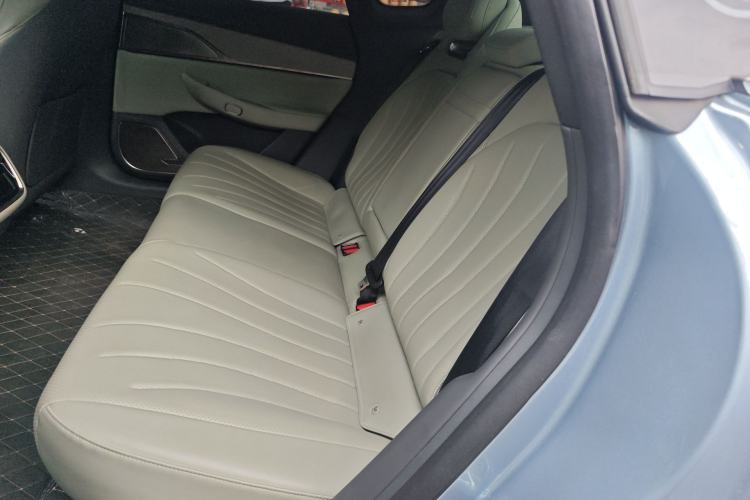 Used EXEED Star Era ES 2024 Max Long-Range Version Left Rear Seat