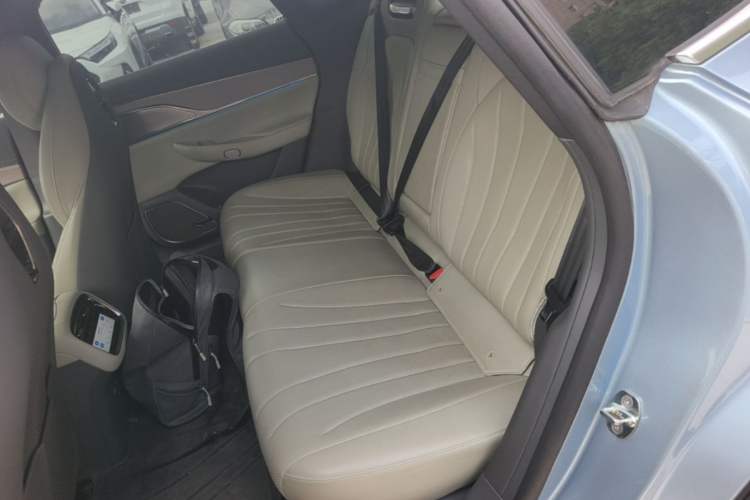 Used EXEED Star Era ES 2024 Max Long-Range Version Left Rear Seat