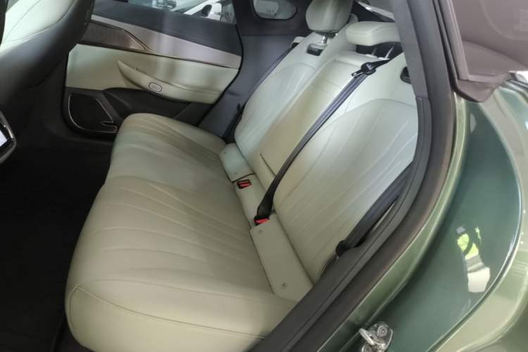 Used EXEED Star Era ES 2024 Ultra Four-Wheel Drive Performance Edition Left Rear Seat