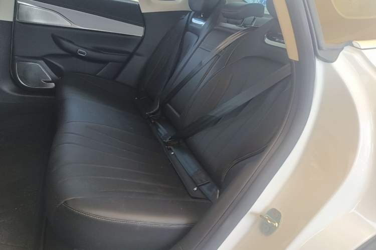 Used EXEED Star Era ES 2024 Max Long-Range Version Left Rear Seat