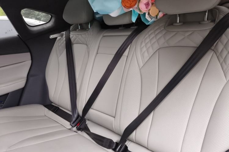 Used EXEED Star Era ES 2025 Extended-Range Pro High-Speed Driver Assistance Left Rear Seat