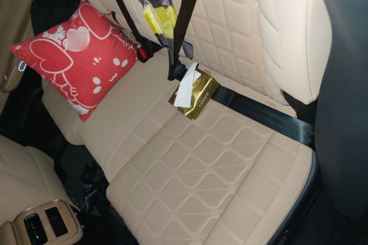 Used EXEED Star Era ET 2024 Range-Extended 200 Pro+ Left Rear Seat