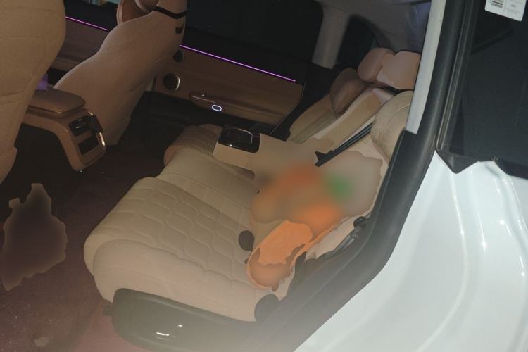 Used EXEED Star Era ET 2024 Range-Extended 200 Pro Left Rear Seat