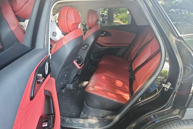 Used EXEED Stellar 2023 400T Two-Wheel Drive Luxury Edition Left Rear Seat
