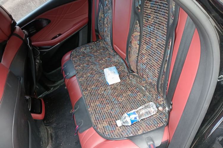 Used EXEED Stellar 2023 400T Two-Wheel Drive Comfort Flyfish Edition Left Rear Seat
