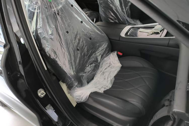 Used EXEED Stellar 2023 400T Two-Wheel Drive Comfort Edition Right Front Seat