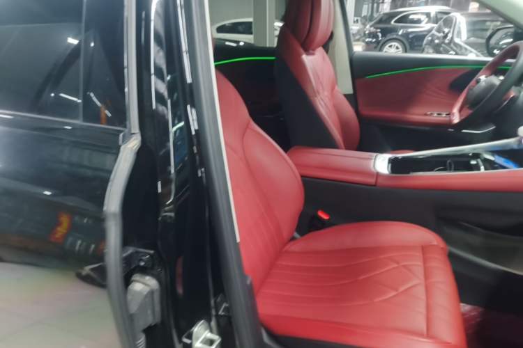 Used EXEED Stellar 2023 400T Two-Wheel Drive Comfort Flyfish Edition Right Front Seat