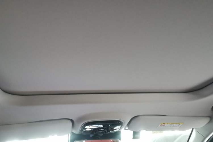 Used EXEED Stellar 2023 400T Two-Wheel Drive Comfort Flyfish Edition Headliner