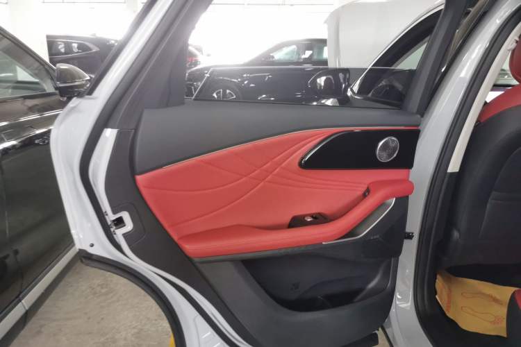 Used EXEED Stellar 2023 400T Two-Wheel Drive Comfort Flyfish Edition Left Rear Door Interior