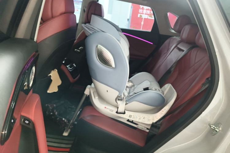 Used EXEED Stellar 2023 400T Four-Wheel Drive Premium Flying Fish Edition Left Rear Seat