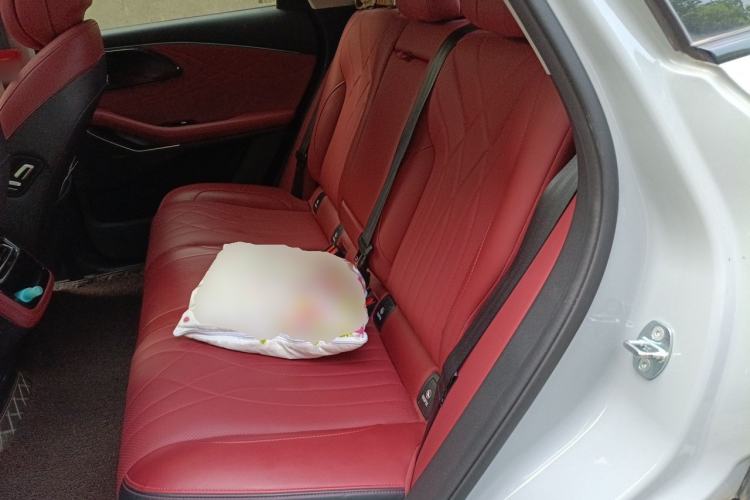 Used EXEED Stellar 2023 400T Two-Wheel Drive Comfort Flyfish Edition Left Rear Seat