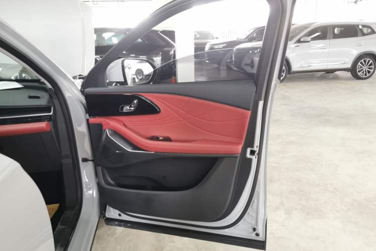 Used EXEED Stellar 2023 400T Two-Wheel Drive Comfort Flyfish Edition Right Front Door Interior