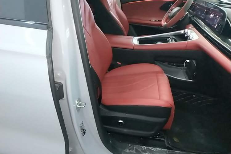 Used EXEED Stellar 2023 400T Two-Wheel Drive Comfort Edition Right Front Seat