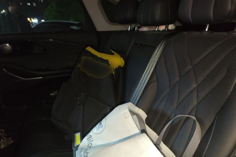 Used EXEED Stellar 2023 400T Two-Wheel Drive Comfort Edition Left Rear Seat