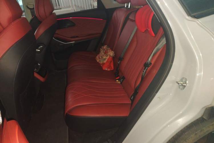 Used EXEED Stellar 2023 400T Two-Wheel Drive Comfort Edition Left Rear Seat