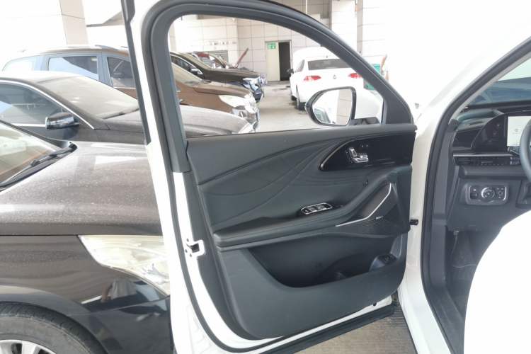 Used EXEED Stellar 2023 400T Two-Wheel Drive Comfort Edition Left Front Door Interior