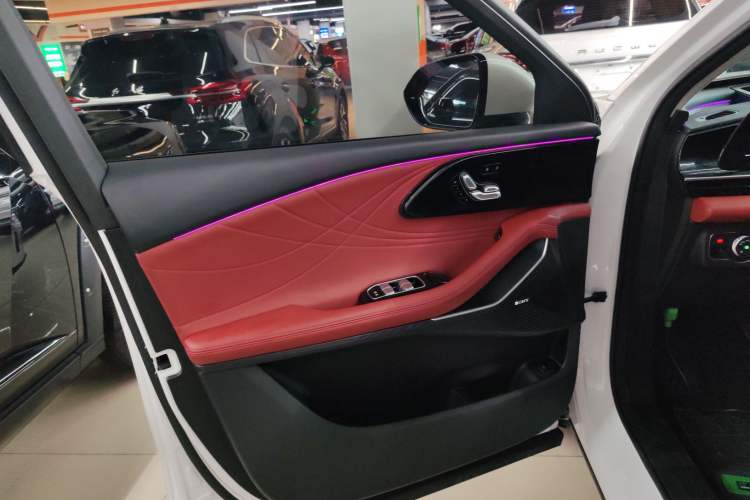 Used EXEED Stellar 2023 400T Two-Wheel Drive Comfort Flyfish Edition Left Front Door Interior