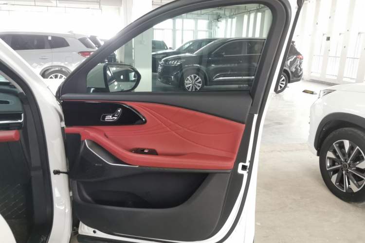 Used EXEED Stellar 2023 400T Two-Wheel Drive Comfort Edition Right Front Door Interior