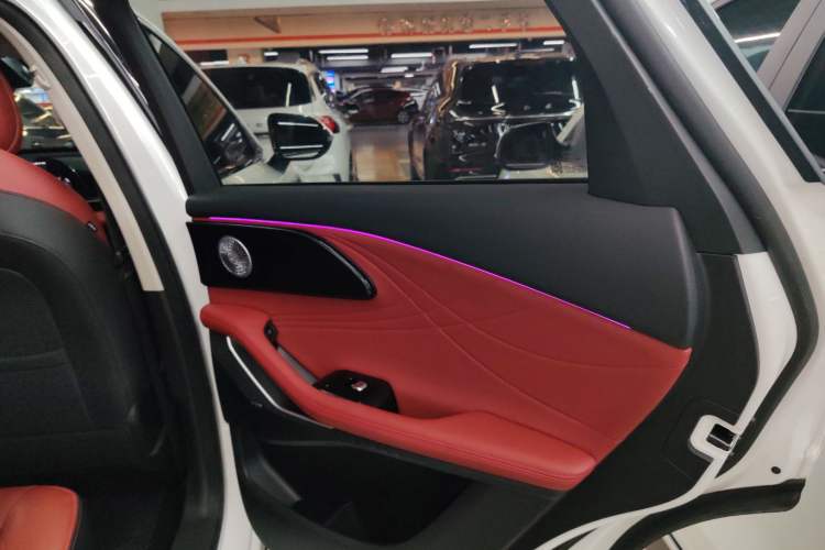 Used EXEED Stellar 2023 400T Two-Wheel Drive Comfort Flyfish Edition Right Rear Door Interior