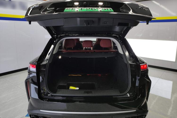 Used EXEED Stellar C-DM 2024 1.5T Long-Range Pro Trunk