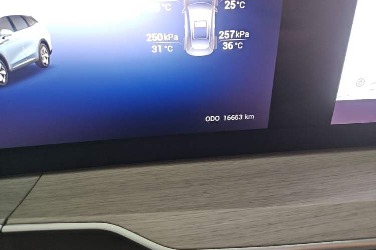 Used EXEED Stellar C-DM 2024 1.5T Extended-Range Pro Odometer Close Up