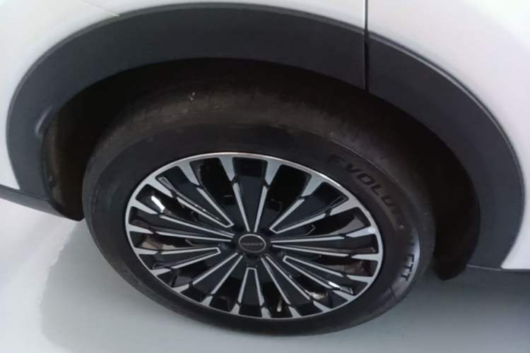 Used EXEED Stellar C-DM 2024 1.5T Extended-Range Pro Right Rear Wheel Hub