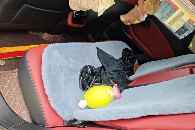 Used EXEED Stellar C-DM 2025 210 Extended-Range Pro Two-Wheel Drive Left Rear Seat