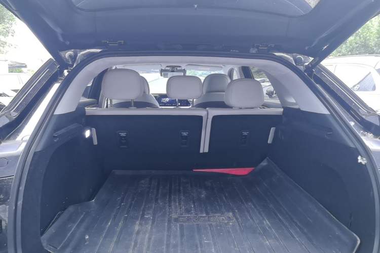 Used EXEED Stellar C-DM 2025 210 Extended-Range Pro Two-Wheel Drive Trunk