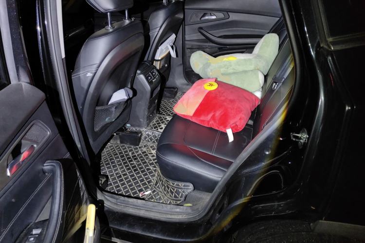 Used EXEED TX 2019 1.6T Four-Wheel Drive Platinum Edition Left Rear Seat
