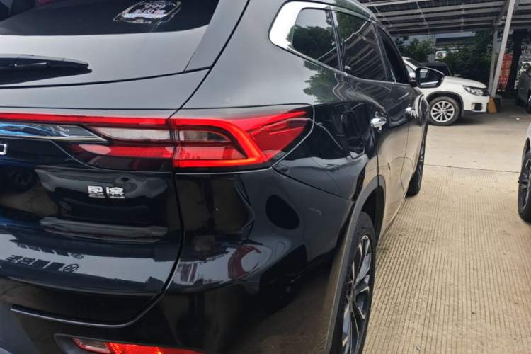 Used EXEED TX 2019 1.6T Four-Wheel Drive Platinum Edition Right Rear Taillight