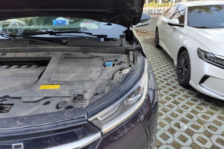 Used EXEED TX 2019 1.6T Two-Wheel-Drive Zijin Edition Engine Bay Left