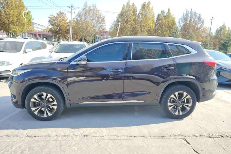 Used EXEED TX 2019 1.6T Four-Wheel Drive Platinum Edition Exterior 3