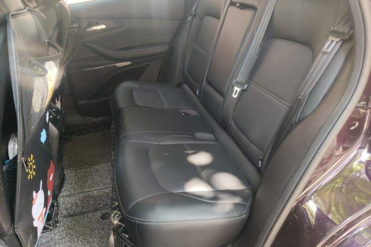 Used EXEED TX 2019 1.6T Four-Wheel Drive Platinum Edition Left Rear Seat