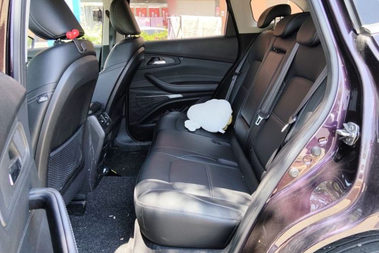 Used EXEED TX 2019 1.6T Four-Wheel Drive Platinum Edition Left Rear Seat