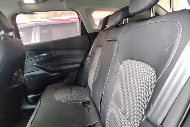 Used EXEED TX 2019 1.6T Four-Wheel Drive Platinum Edition Left Rear Seat