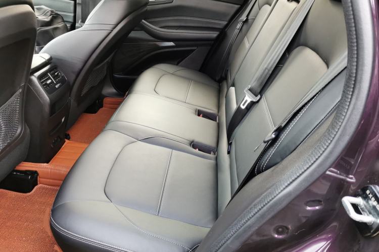 Used EXEED TX 2019 1.6T Four-Wheel Drive Platinum Edition Left Rear Seat