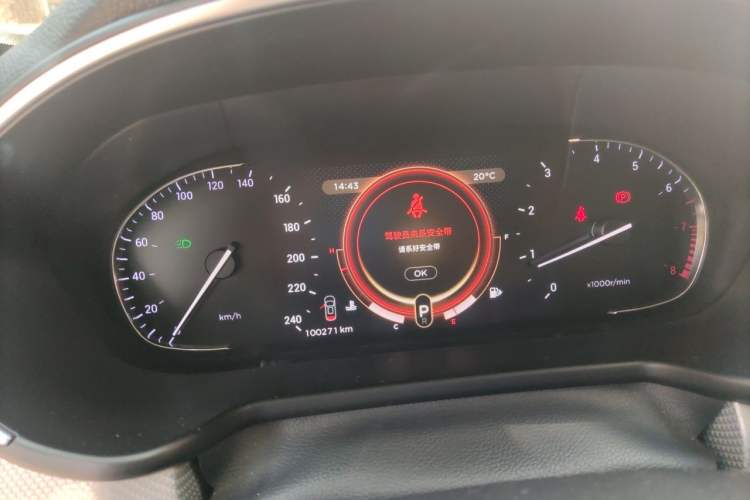 Used EXEED TX 2019 1.6T Four-Wheel Drive Platinum Edition Odometer Close Up
