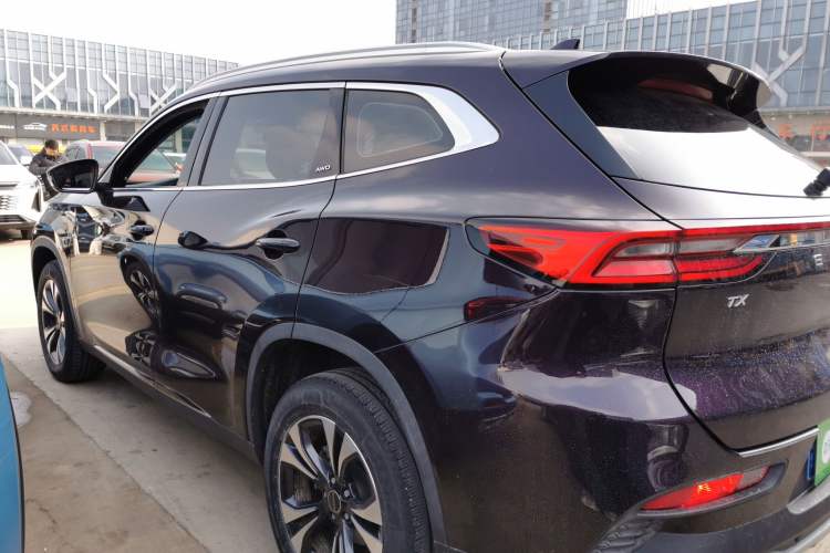Used EXEED TX 2019 1.6T Four-Wheel Drive Platinum Edition Rear Left 45 Deg
