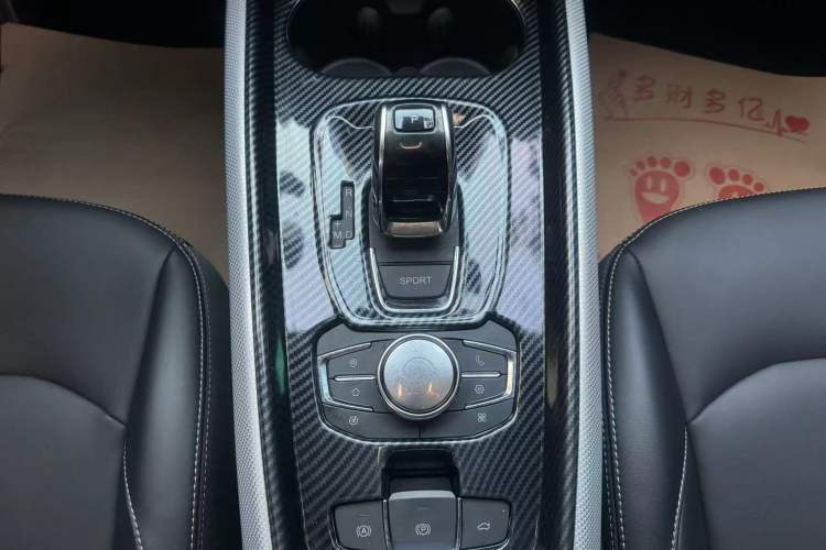 Used EXEED TX 2019 1.6T Four-Wheel Drive Platinum Edition Gear Lever