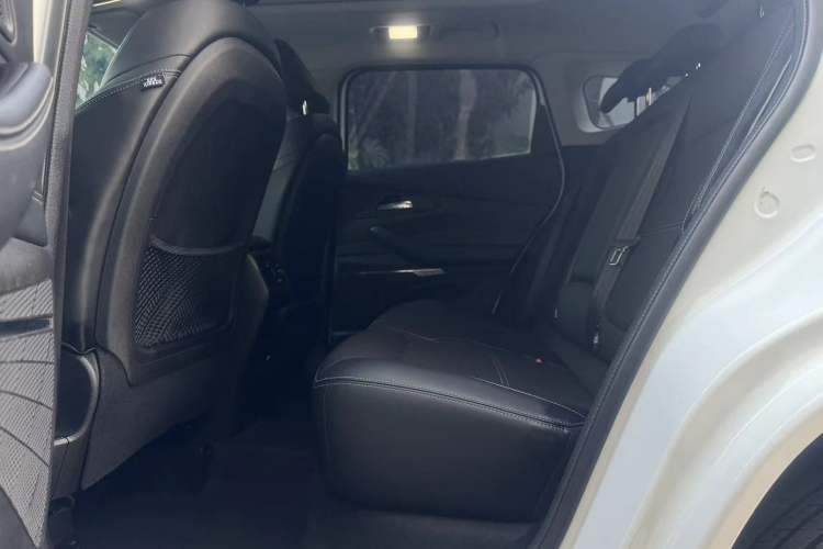 Used EXEED TX 2019 1.6T Four-Wheel Drive Platinum Edition Left Rear Seat