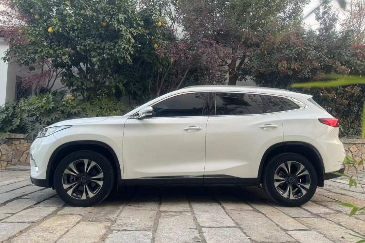 Used EXEED TX 2019 1.6T Four-Wheel Drive Platinum Edition Left Side